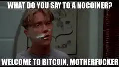 Welcome to Bitcoin, Motherfucker