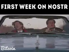 First Week on Nostr