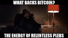 What backs Bitcoin the energy of relentless plebs