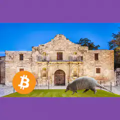 armadillo walks through bitcoin logo