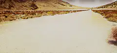 Tumbleweed rolling down desert road