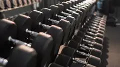 rows of dumbbells in gym
