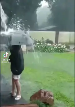 Person holding umbrella gets hit by lightning