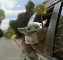 Baby Yoda holding sunflowers out of car window