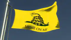 Meme On Me Gadsden Flag