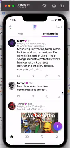 User posts on Nostr with image