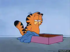 Garfield falls asleep in a box