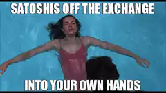 Satoshi's off the exchange into your own hands