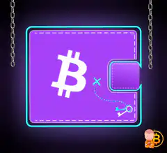 Bitcoin wallet on chains