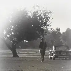man throws hat at tree