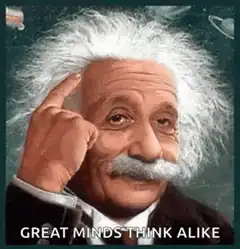 Einstein Great Minds Think Alike