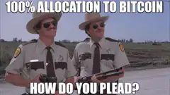 Dumb and Dumber 100% Allocation to Bitcoin