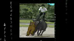 Hulk riding bear and bull