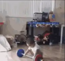 Toddler lifts barbell and drops it