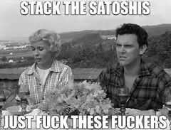 Stack the Satoshis Just Fuck These Fuckers
