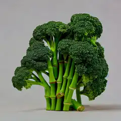 Broccoli stalks arranged like a tree