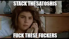 Stack the Satoshis Fuck These Fuckers