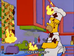 Homer Simpson kitchen fire screaming