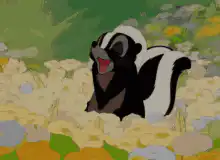 Skunk laughing in flowers