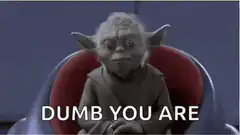 Yoda Dumb You Are