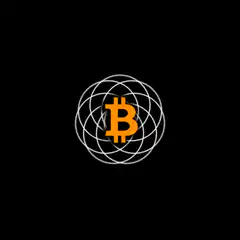Bitcoin surrounded by disciplines