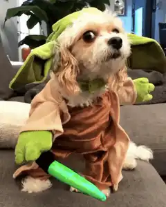 Dog dressed as Yoda with lightsaber
