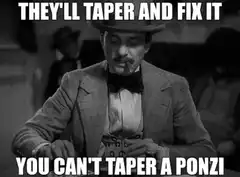 They'll Taper And Fix It You Can't Taper A Ponzi