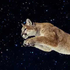 Space Cougar Laser Eyes