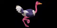 Pink and purple ostrich walking