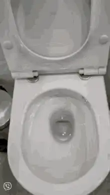 Toilet flushing water