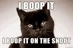I boop it on the snoot