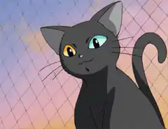 Black cat with heterochromia smirking
