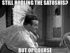 Still Hodling The Satoshis But Of Course