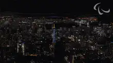Night aerial view of Tokyo with Tokyo Tower