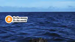 Turtle with Bitcoin logo fix the money fix the world