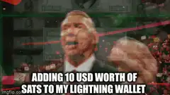 Elon Musk adding sats to lightning wallet