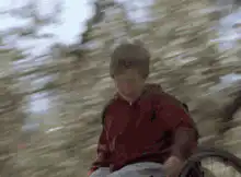 Boy in wheelchair falls off cliff