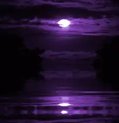 purple moon over water