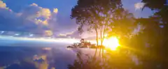 Sunset over calm water with trees