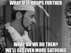 What if it drops further what do we do then we'll get even more satoshis