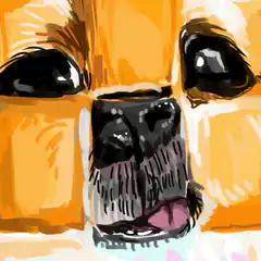 Close-up of a dog's face