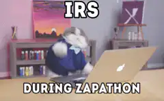 Cat typing on laptop during Zapathon