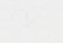 Time-lapse drawing of a pink flower