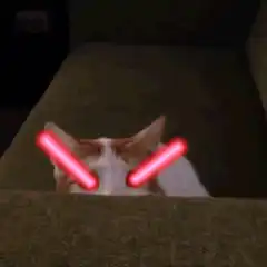cat with laser eyes