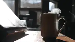 steaming mug in sunlight