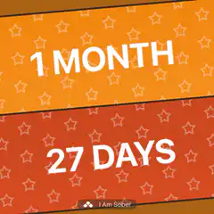 1 Month 27 Days Sober