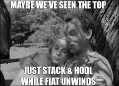 Maybe We've Seen The Top Just Stack And HODL