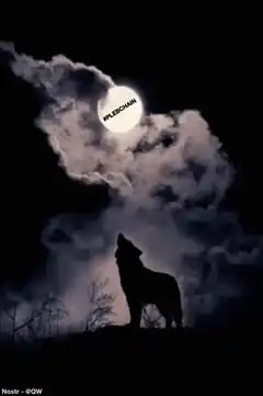 wolf howling at moon with hashtag