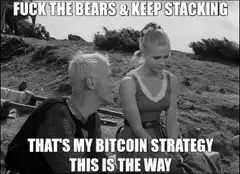 Fuck the Bears Keep Stacking Meme
