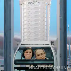 Couple on a Ferris wheel